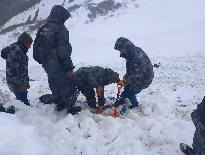 यार्सा टिप्न गएका जुम्लाका तीन युवाको मृत्यु