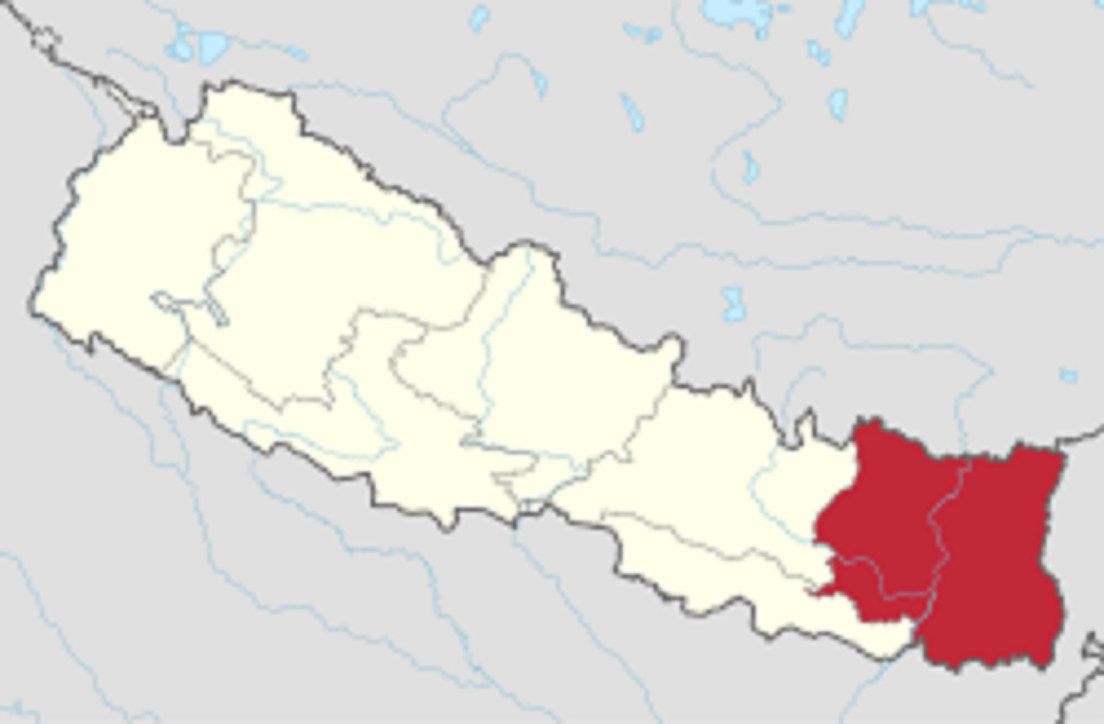 कोशी प्रदेशका ४५ प्रतिशत जनसङ्ख्या बीमाको पहुँचमा