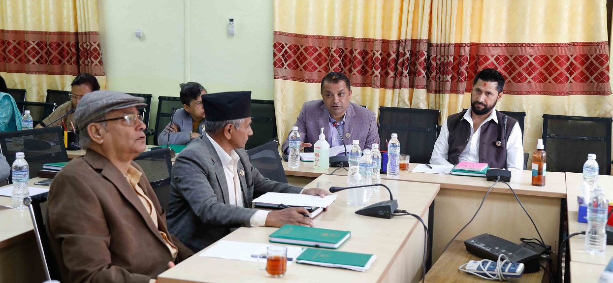 एकै समयमा बस्यो १० संसदीय समितिको बैठक (तस्बिरहरू)