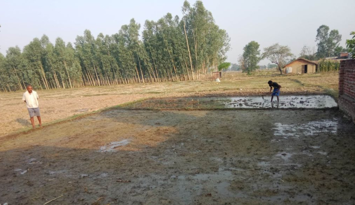 अत्यधिक गर्मीले धानको बीउ सुक्यो, किसान चिन्तित
