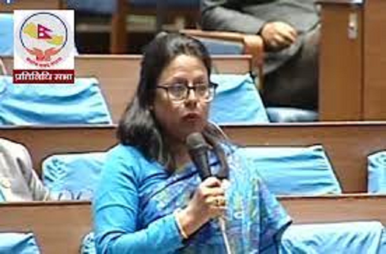 सरकारले सहकारी ठगहरूको पक्षमा वकालत गर्यो : प्रतिमा गौतम