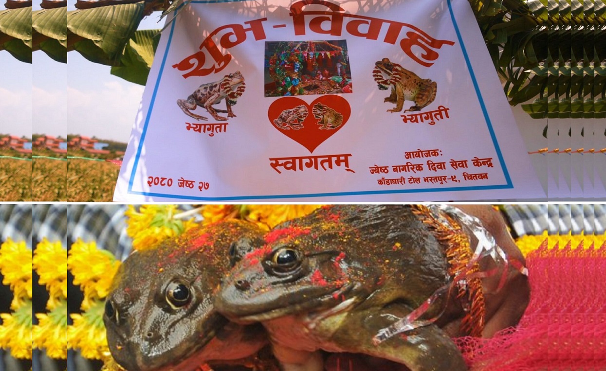 भ्यागुताको बिहे : अनावृष्टि र अत्यधिक तापक्रमको प्रभाव