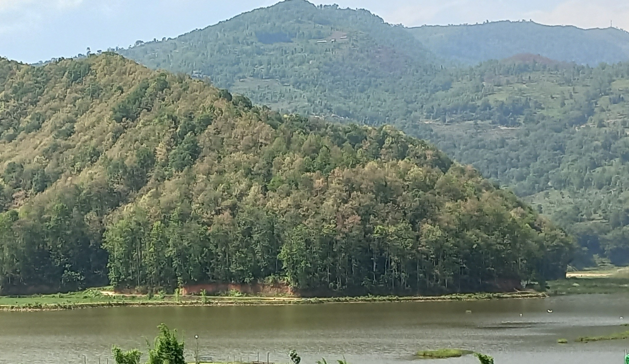 सात सय ४६ हेक्टर वनक्षेत्र अतिक्रमण