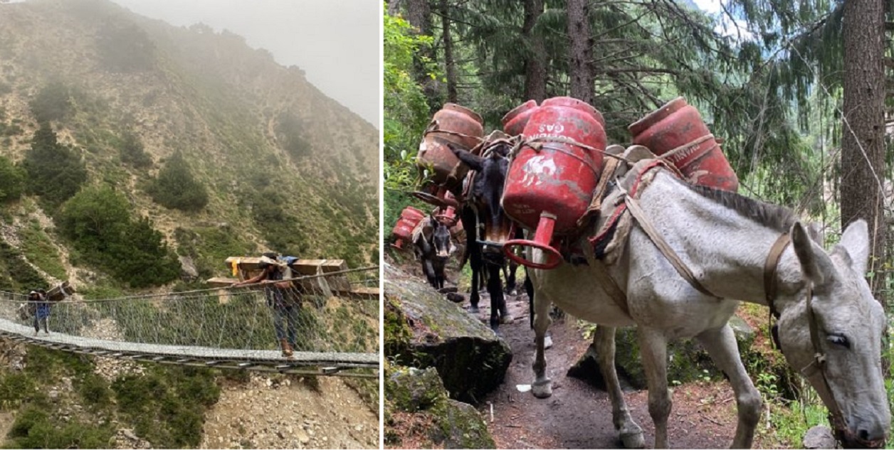 बिकटको ब्यथा : दुई पालिकामा अझै पुगेन सडक, ढुवानीमा खच्चड र पिठ्युँकै भर