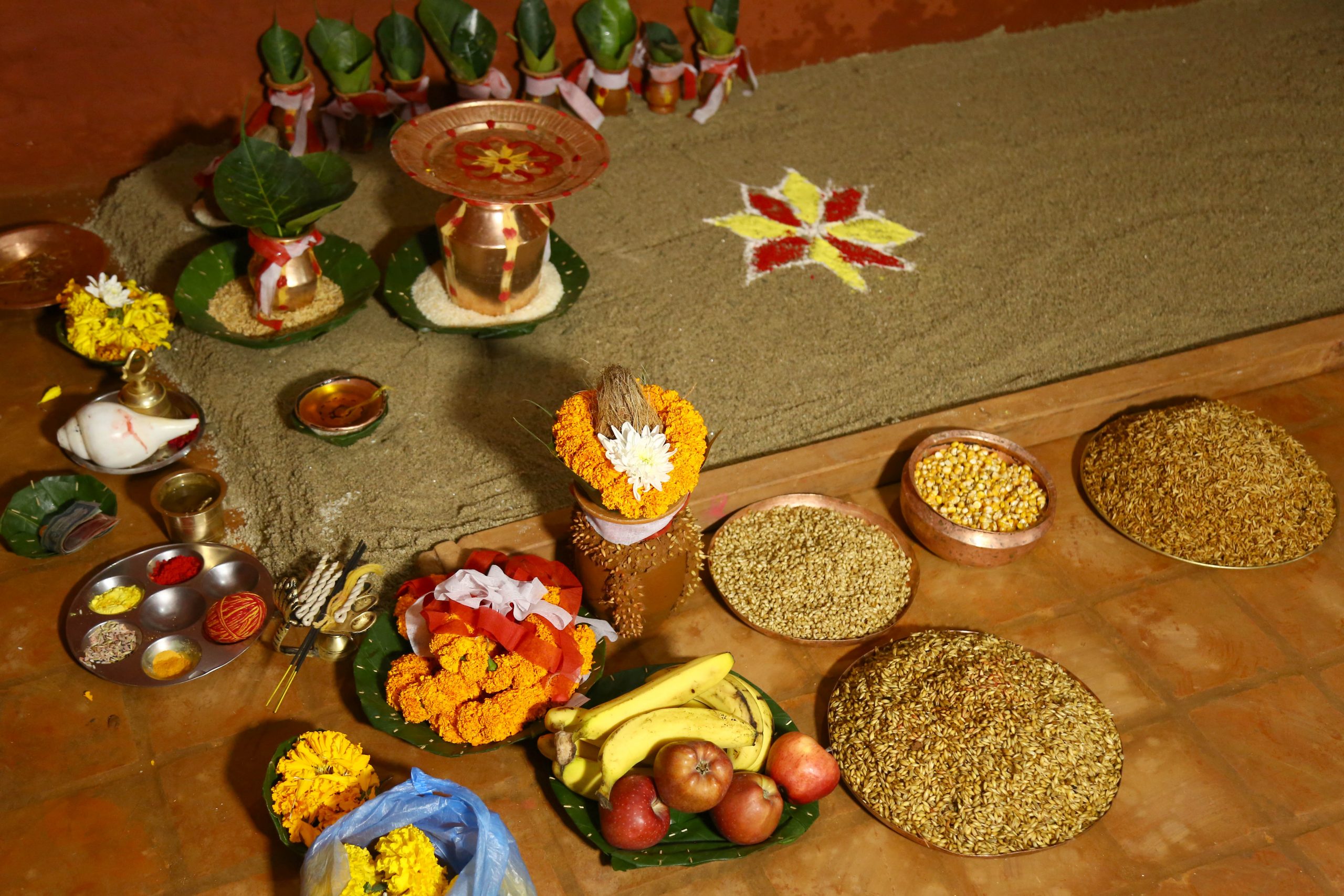 हनुमान ढोकास्थित दशैँघरमा राखियो जमरा