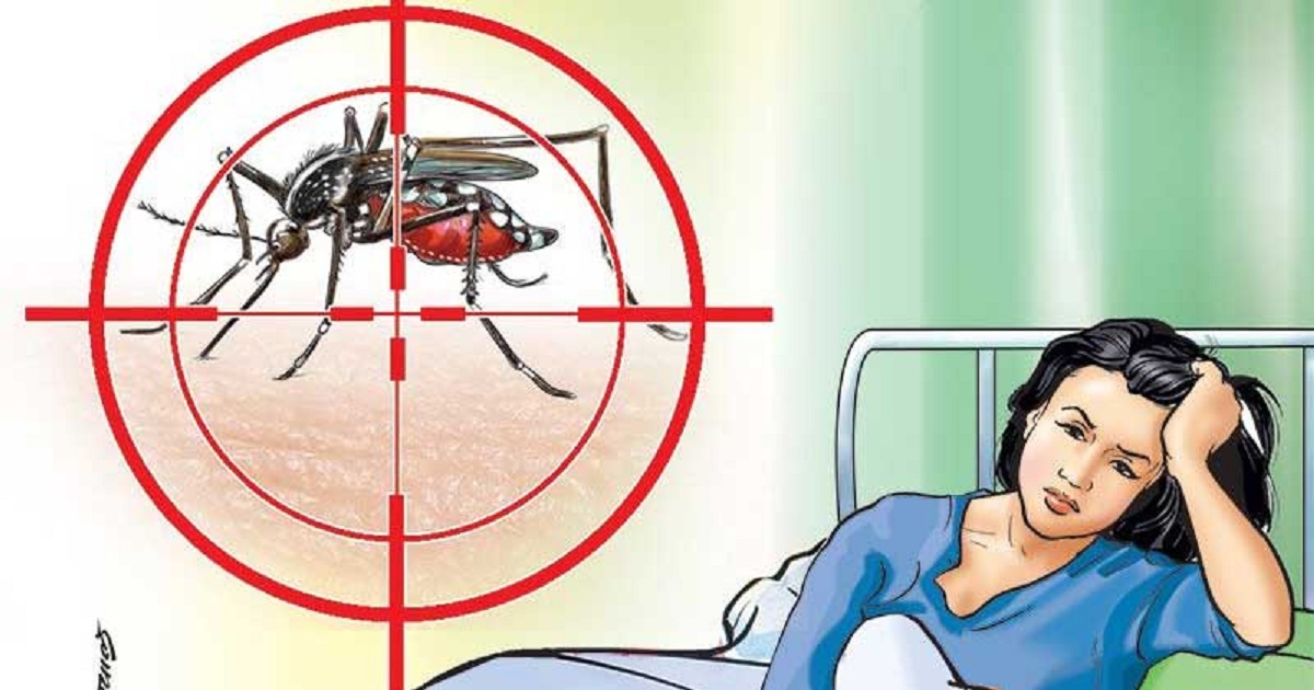बागमती प्रदेशमा ११ हजार डेङ्गु सङ्क्रमित
