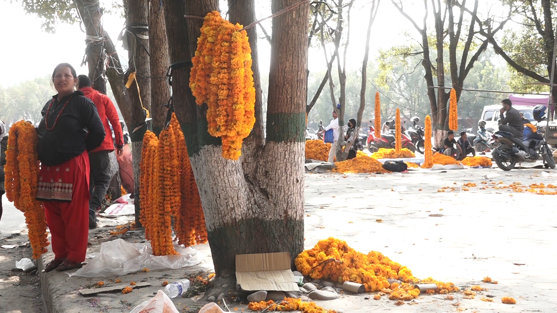 महानगरले तोकेको स्टलबाट फूल बेच्दा घर फर्किने भाडासम्म छैन : फूल व्यवसायी