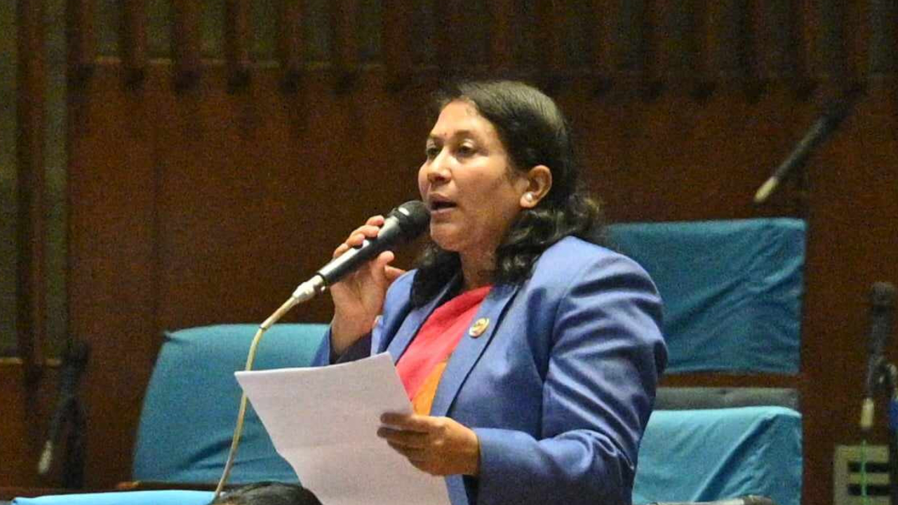 सडक दुर्घटना न्यूनीकरण गर्न एमाले सांसद भट्टराईको माग