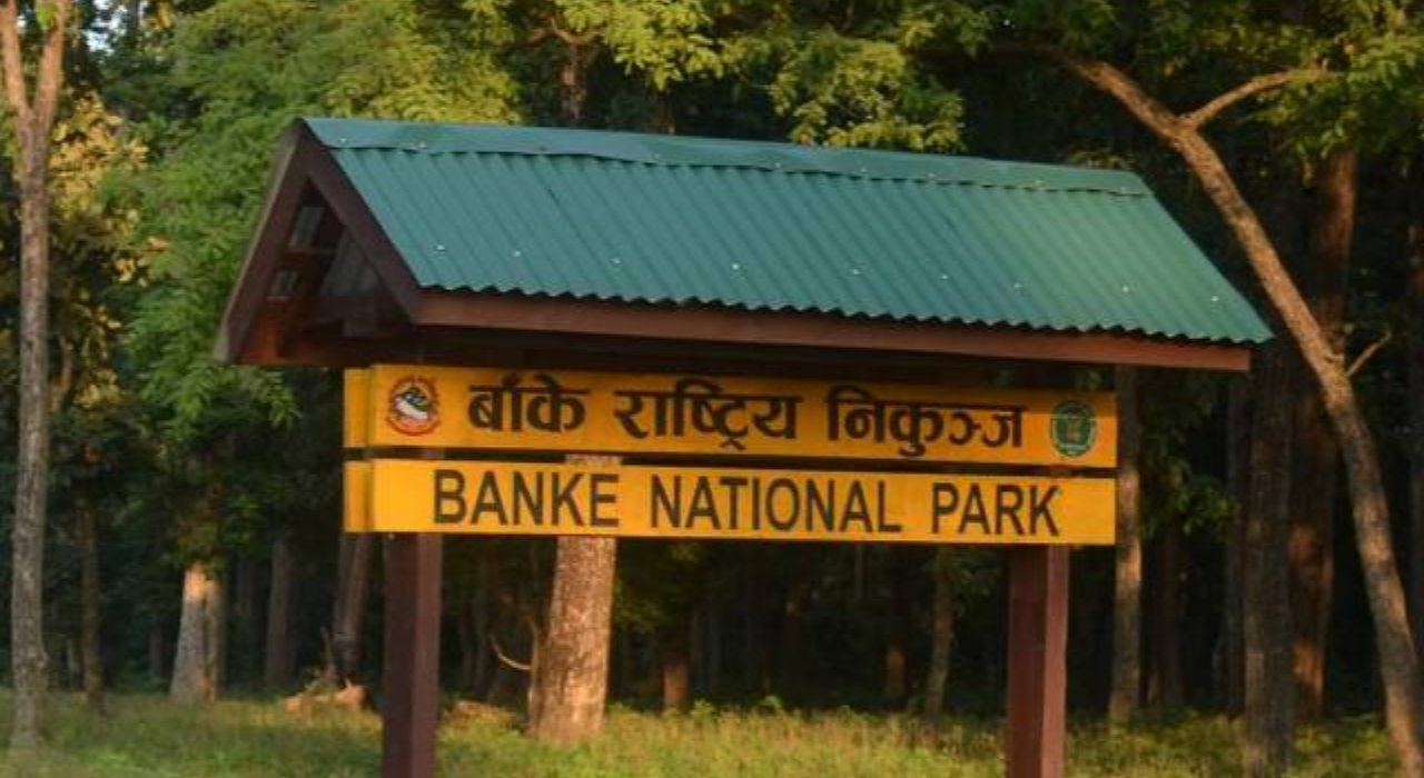 बाँके निकुञ्जमा भौतिक पूर्वाधारमा लगानी गर्न आग्रह