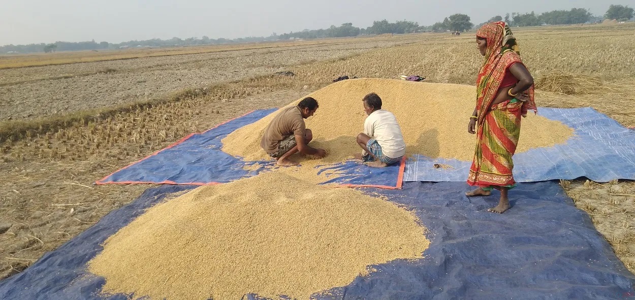 किन पाइएन मधेसमै धान ?