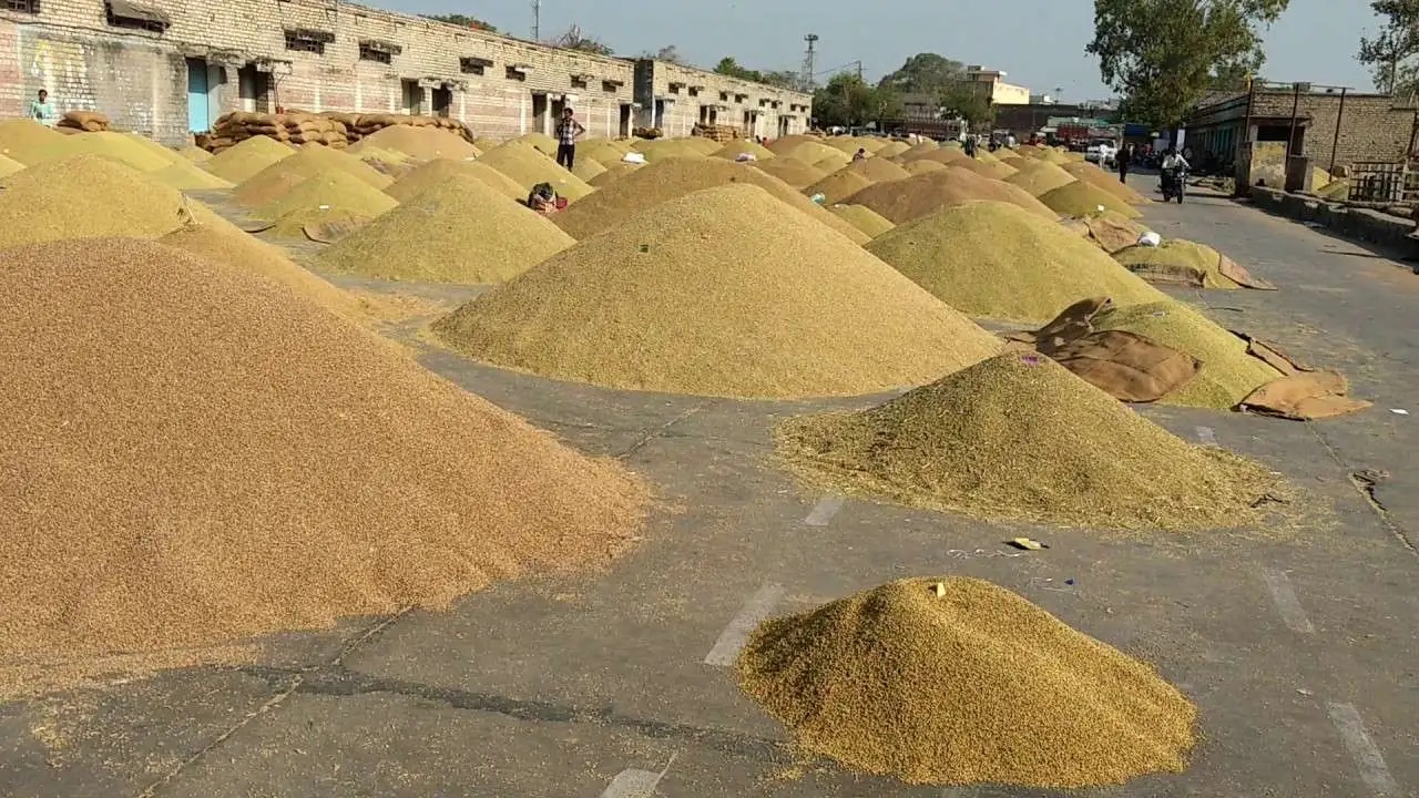 किन पाइएन मधेसमै धान ?