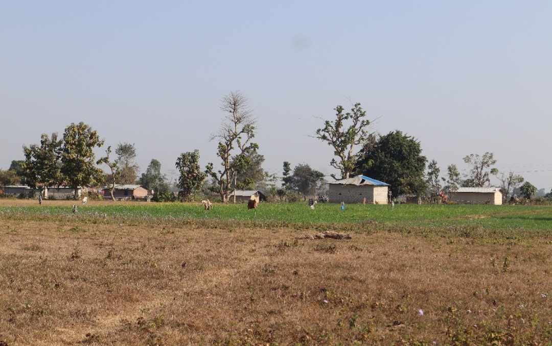 माटोको मायाले सीमामा सङ्घर्ष गर्दै बडुवालवासी