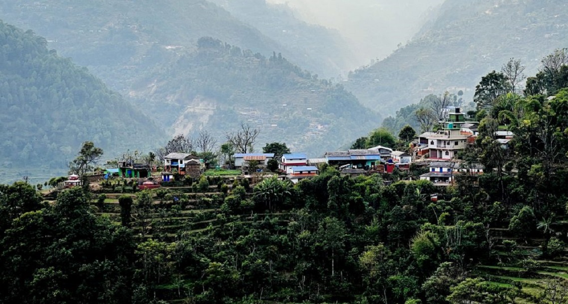 युवा विदेश भासिएपछि रित्तियो गाउँ, वनमाराले ढाक्यो खेतबारी