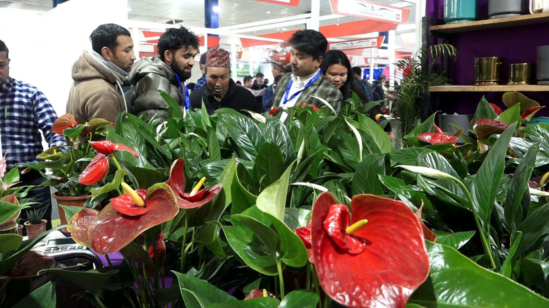 नेपाल एग्रिटेक इन्टरनेशनल एक्स्पोमा अवलोकन कर्ताको भीड (तस्बिरहरू)