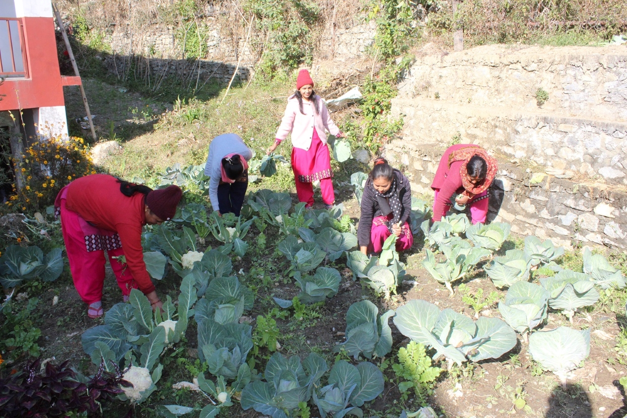 चारआलीमा आधुनिक ‘कृषि मण्डी’ बन्दै