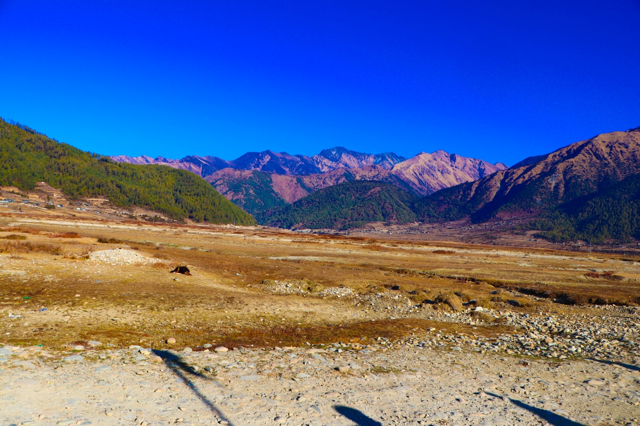 चिसोले सुनसान ढोरपाटन, होटल व्यवसाय ठप्प