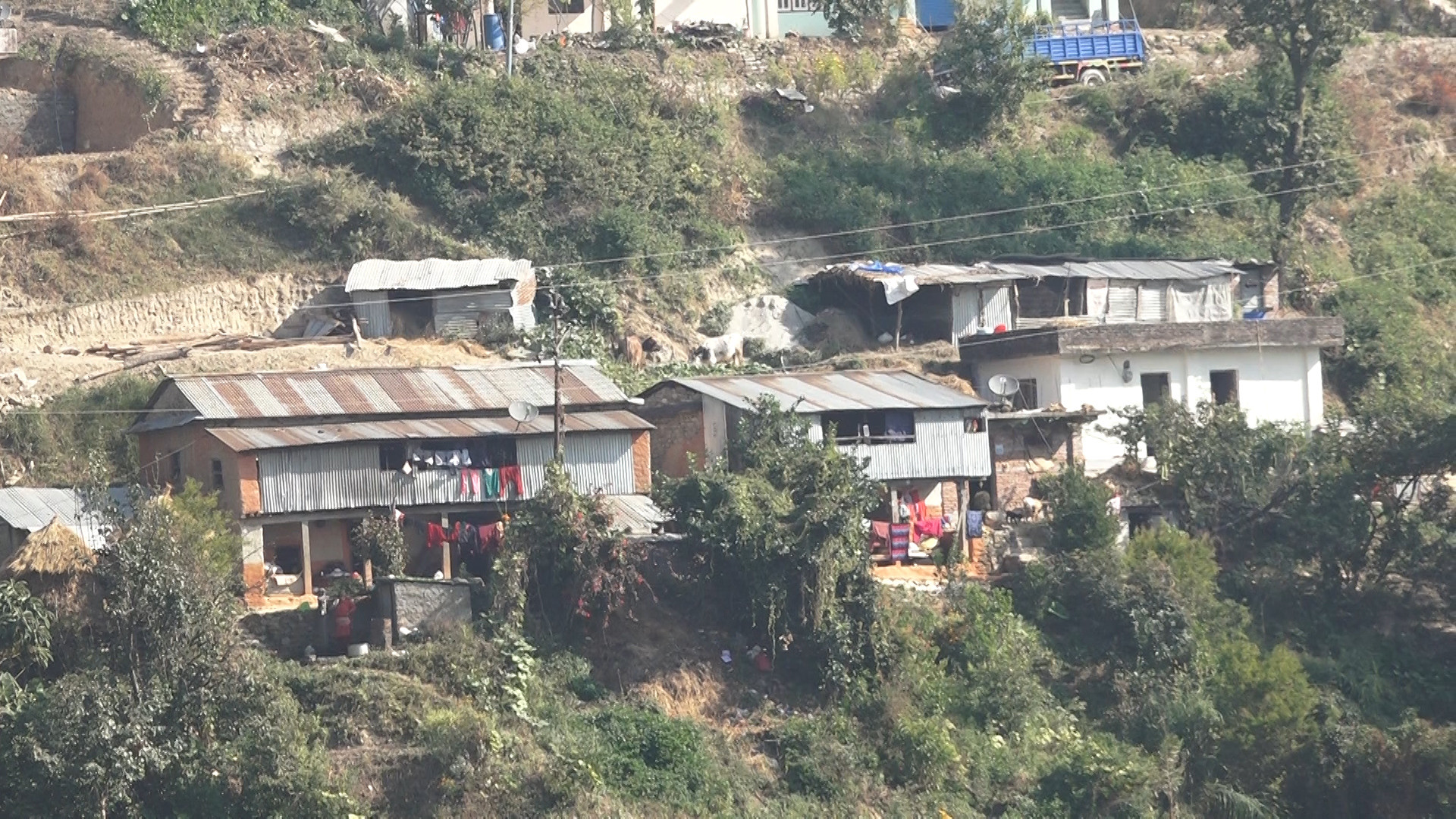 ल्याण्डफिल्ड क्षेत्रमा छोरी दिन छाडे, छोरा मान्छेको विवाह हुनै गाह्रो (भिडिओ)