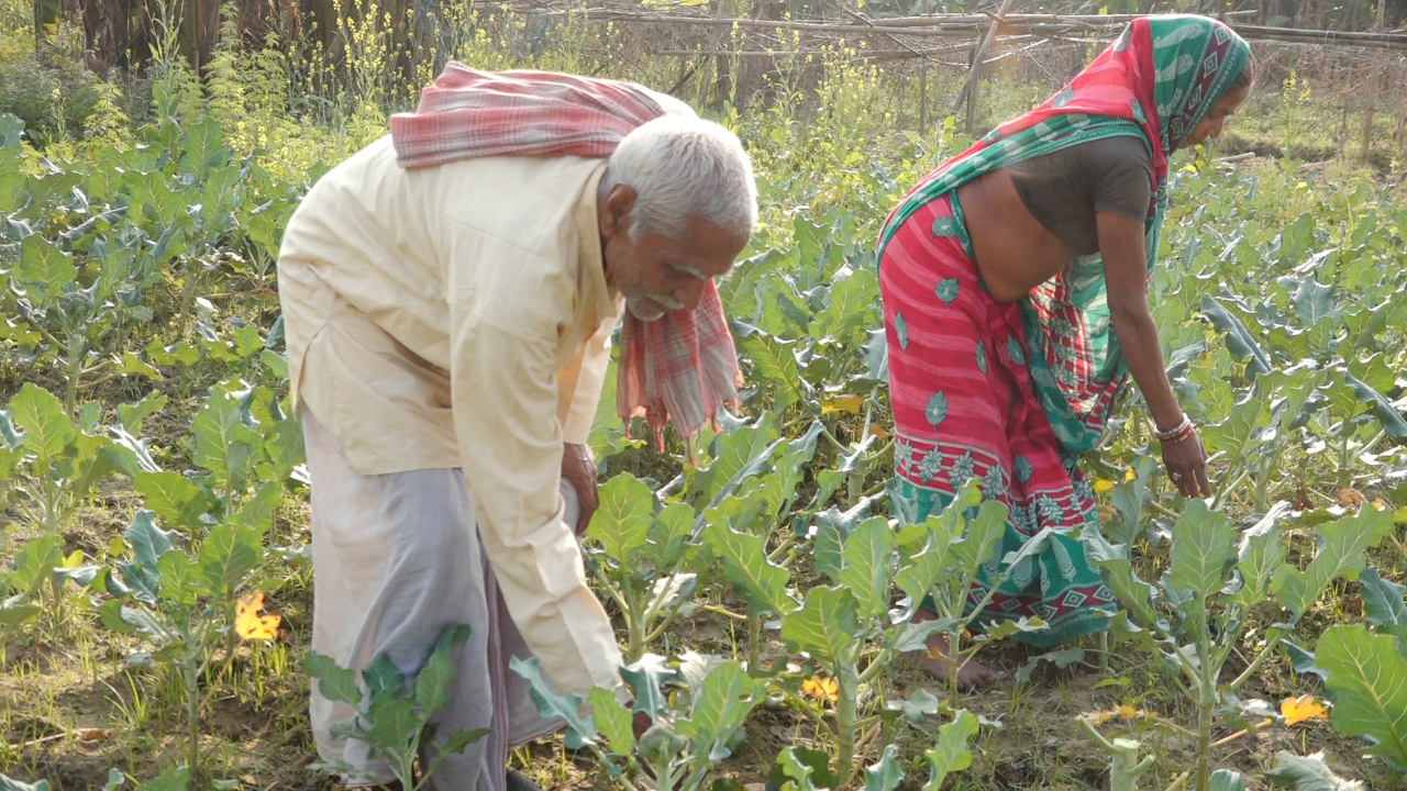 कुष्ठरोगी मेहता, जो दयाको पात्र होइन समाजका उदाहरणीय छन्