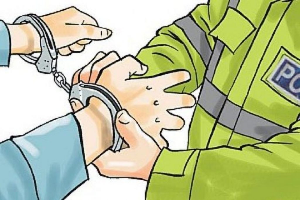 बिमा ऐनसम्बन्धी कसुरमा मृदुला सरिया पक्राउ