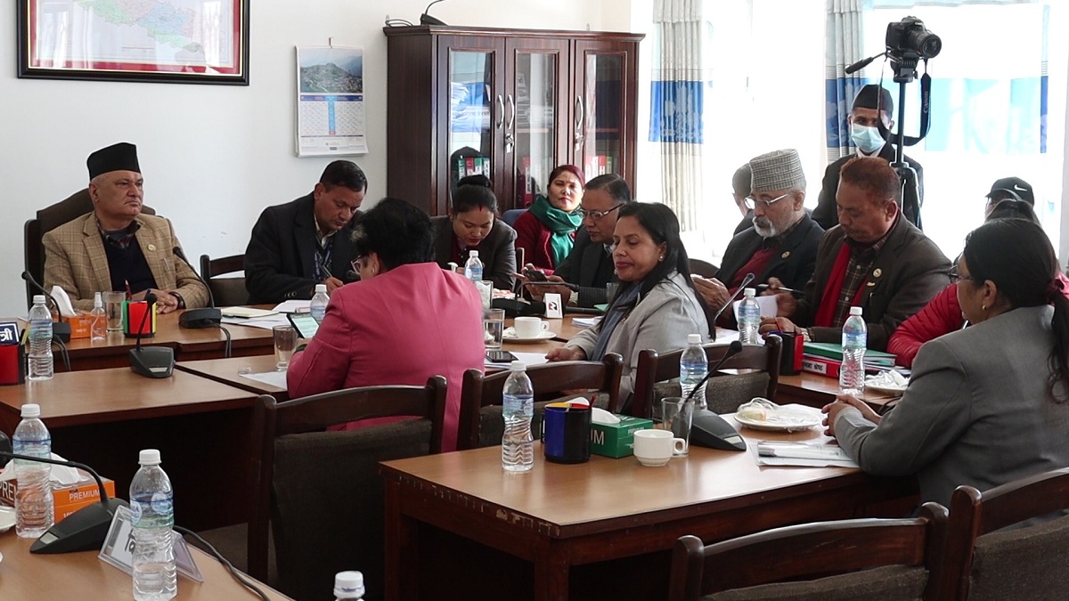 विज्ञहरूको निस्कर्ष : विश्वविद्यालयलाई दलसँग मिसाउनु हुँदैन