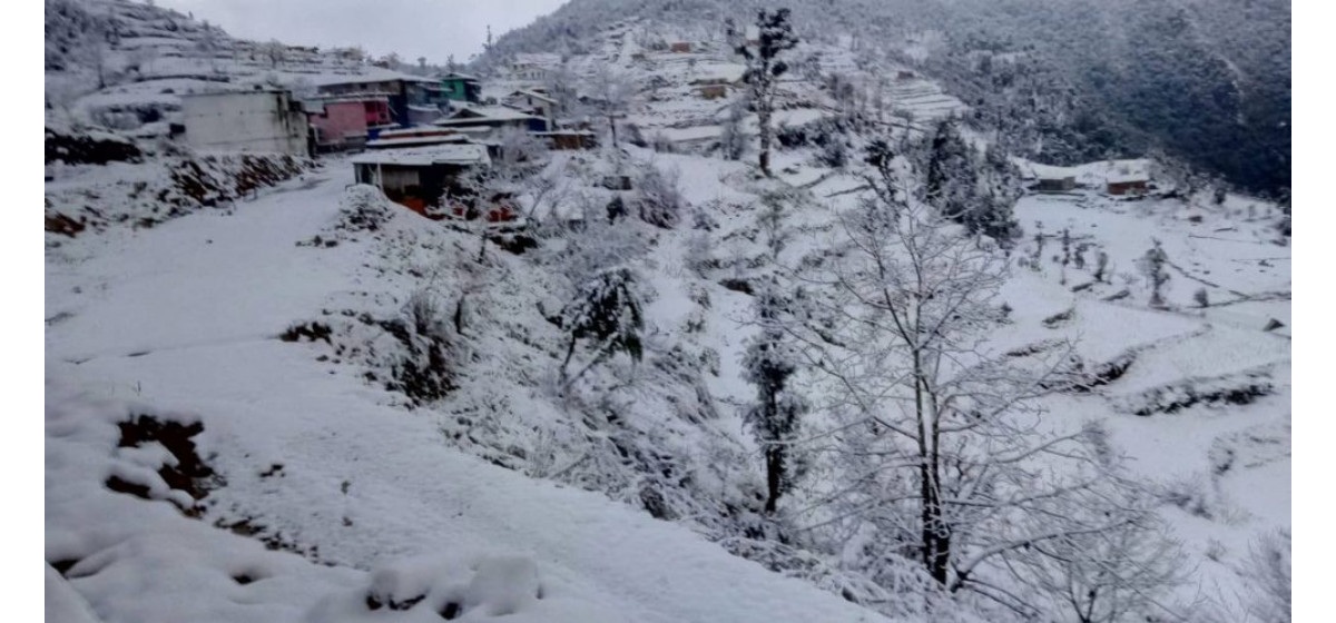 रसुवाको उत्तरी भेकमा हिमपात