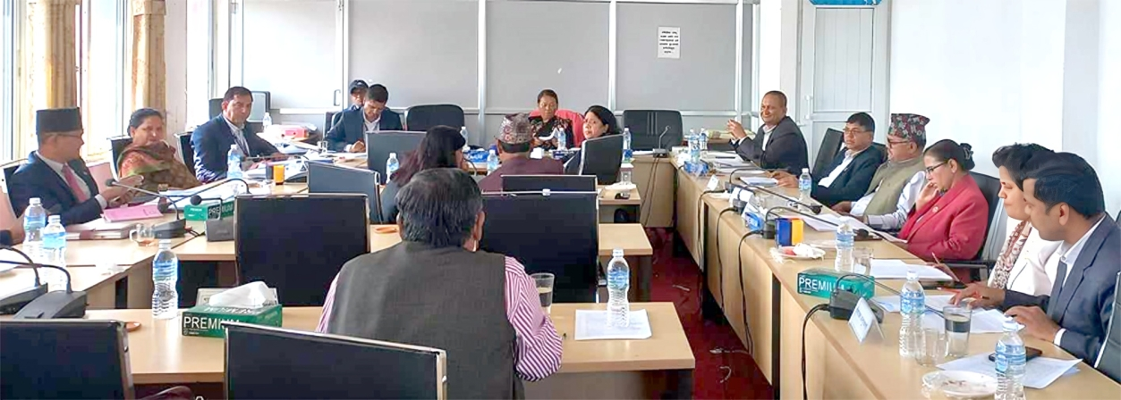 संघीय संसद्का एकैपटक ८ समितिका बैठक