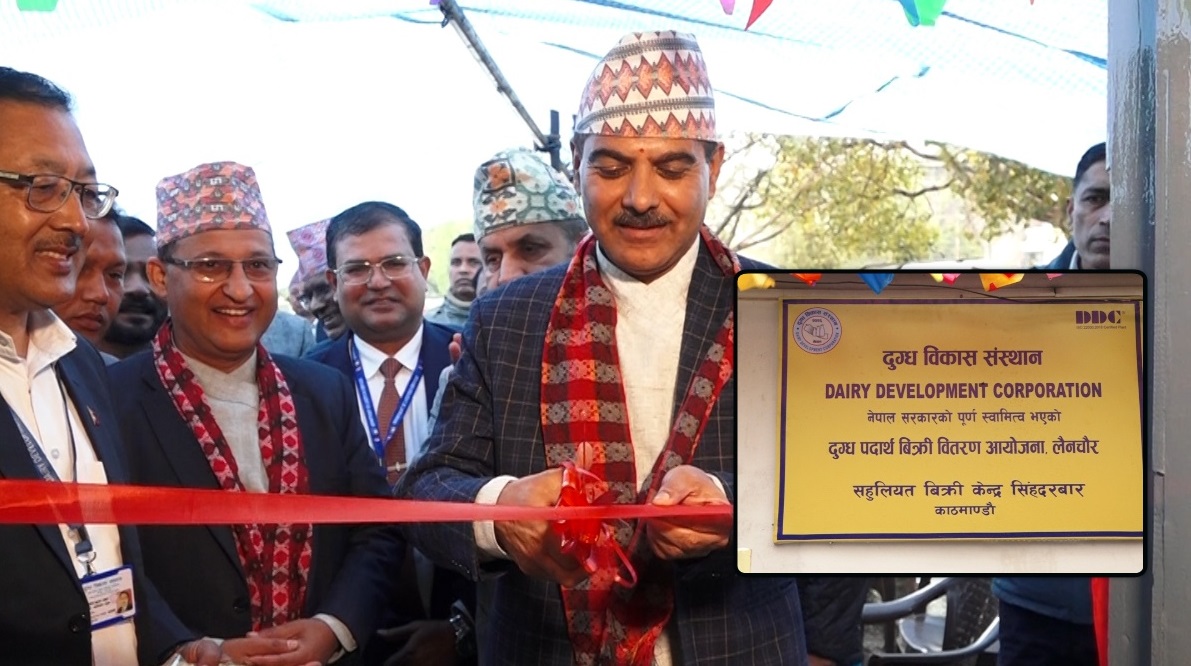 सिंहदरबार परिसरमा डिडिसीको सहुलियत बिक्री केन्द्र स्थापना