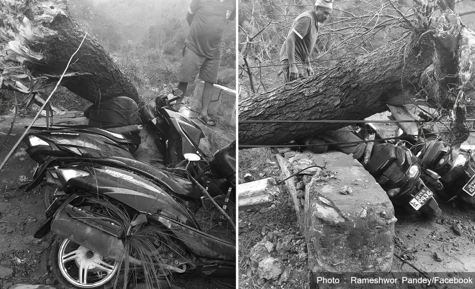 तानसेनमा हुरीले रुख ढल्दा १९ वर्षीय युवकको मृत्यु