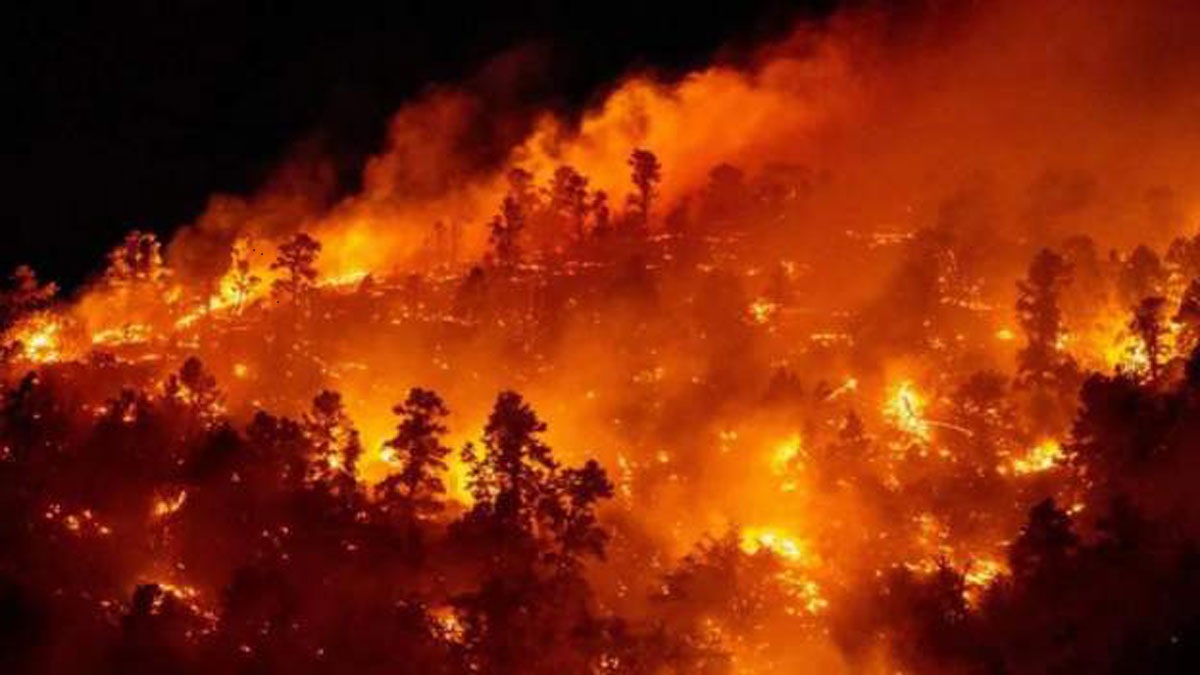 वनबाट फैलिएको आगोले जलेर वृद्धको मृत्यु, तीन घर नष्ट