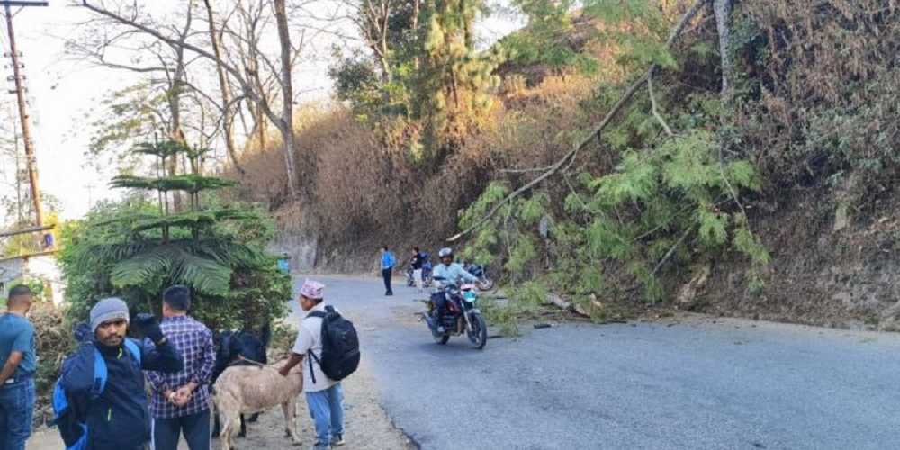 धनकुटामा गुडिरहेको मोटरसाइकलमाथि रुख ढल्दा एक युवतिको मृत्यु