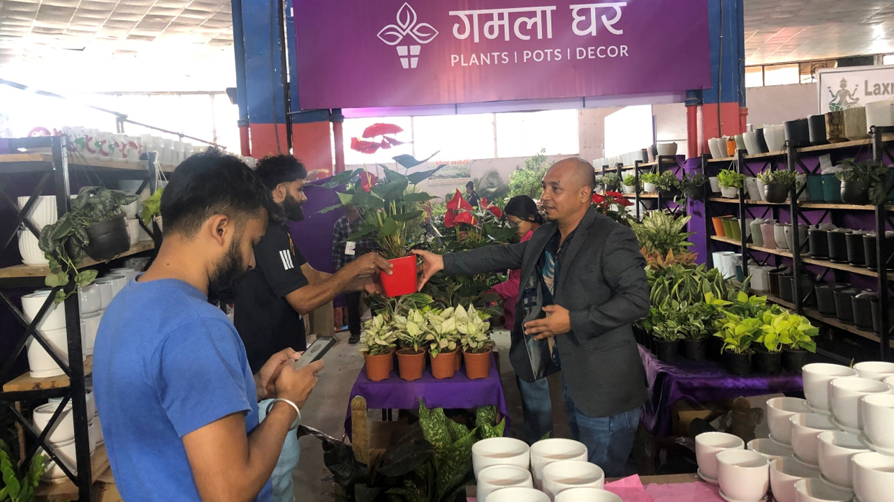 नर्सरी व्यवसायमै भविष्य खोज्ने युवाहरुको कथा !