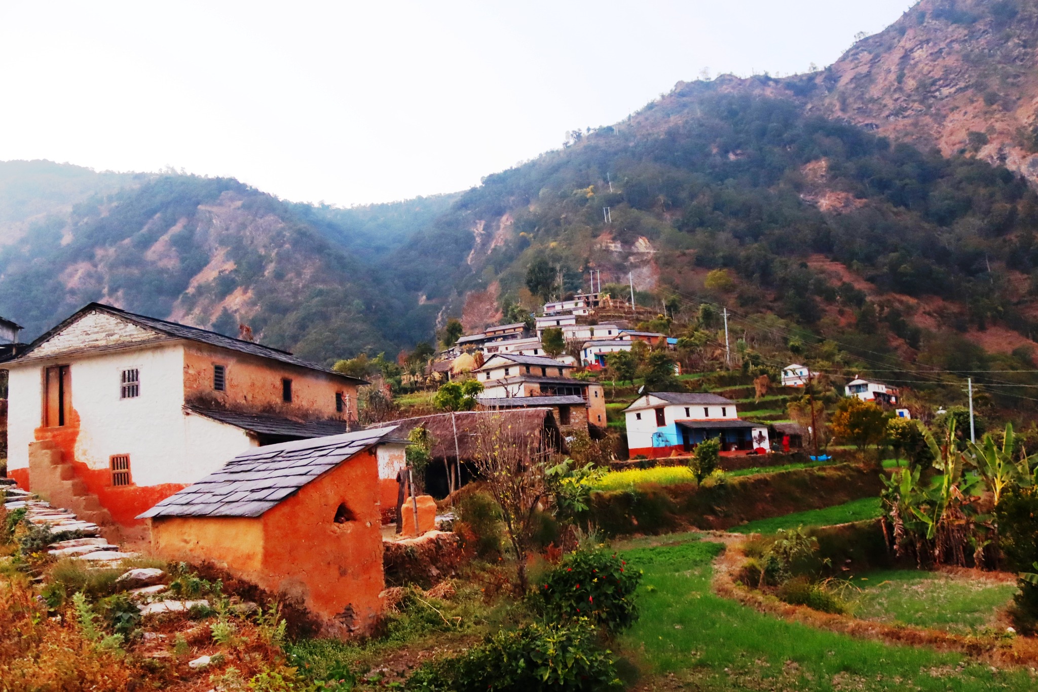 विकास पुगेका गाउँमा पनि छैनन् युवा