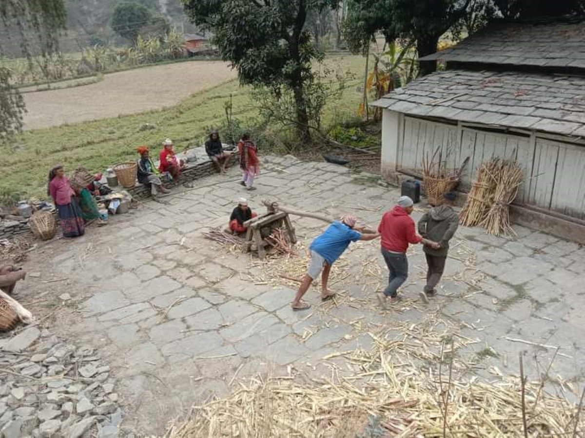 उखु, अमिलो र तोरी पेल्ने परम्परागत ‘कोल’ लोप हुँदै