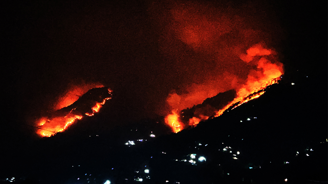 वनमा आगो लगाएको कसुरमा अदालतमा मुद्दा दायर