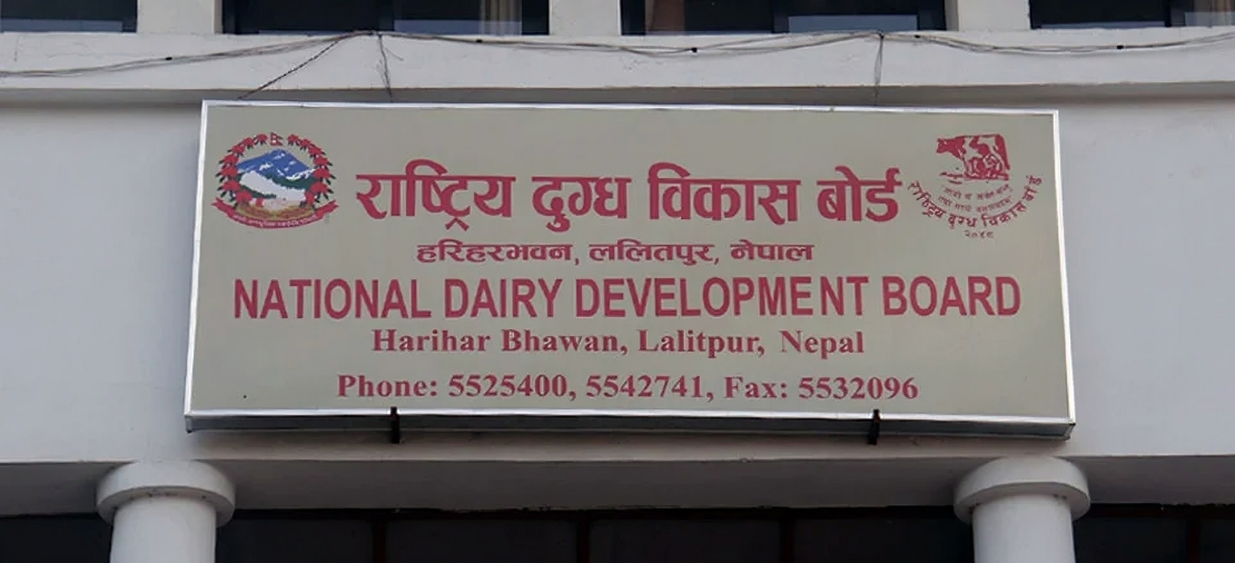 दुग्ध विकास संस्थानले एकैपटक तिर्यो ३१ वर्षको सम्पत्ति कर