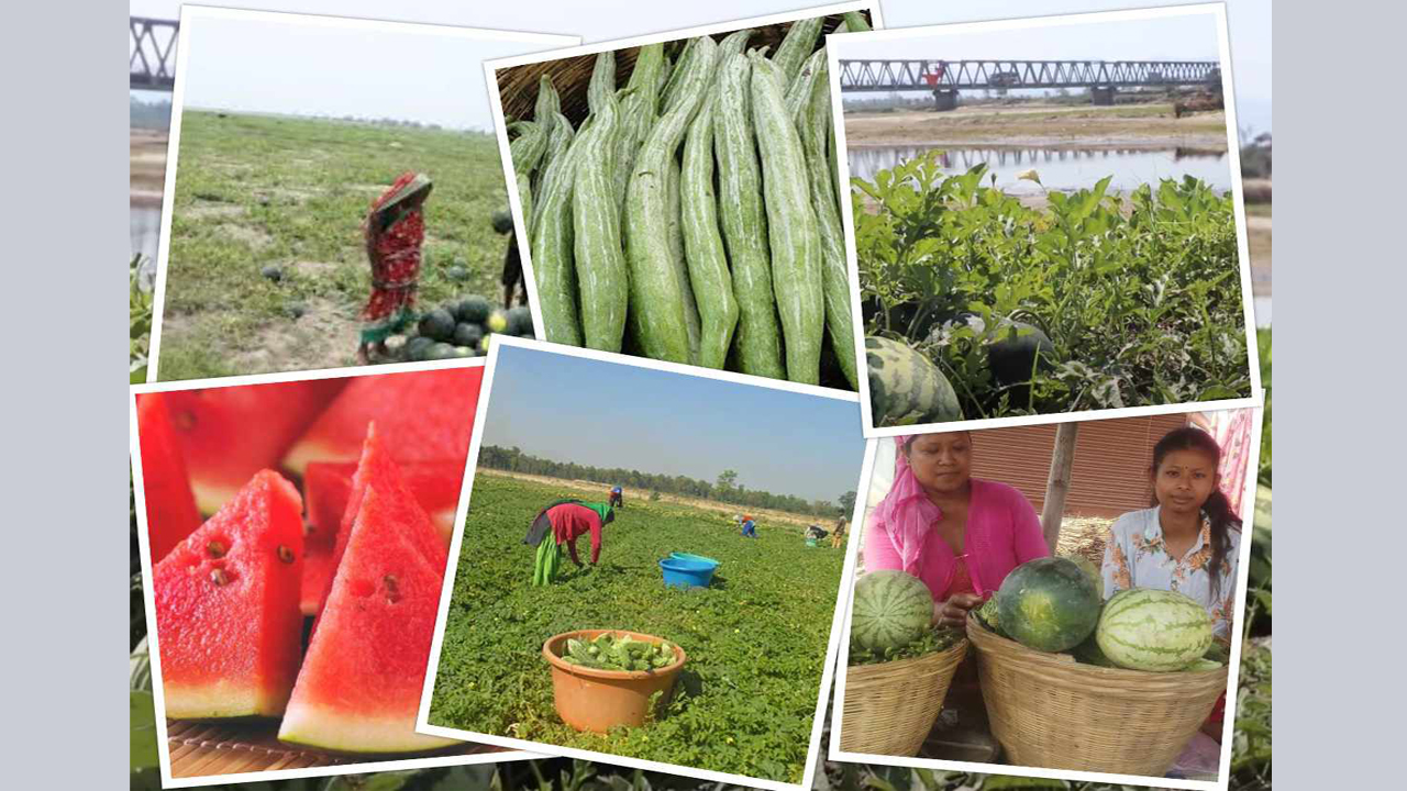 बगरखेतीबाटै मनग्य कमाउँछन् बलरामपुरका स्थानीय