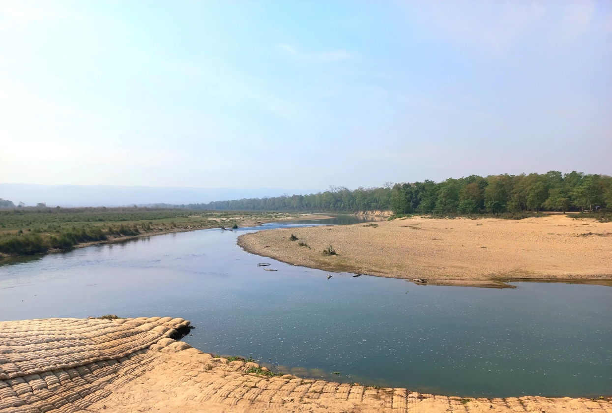 नदी प्रदूषण निकुञ्जको पारिस्थितिकीय प्रणालीकै लागि जोखिम