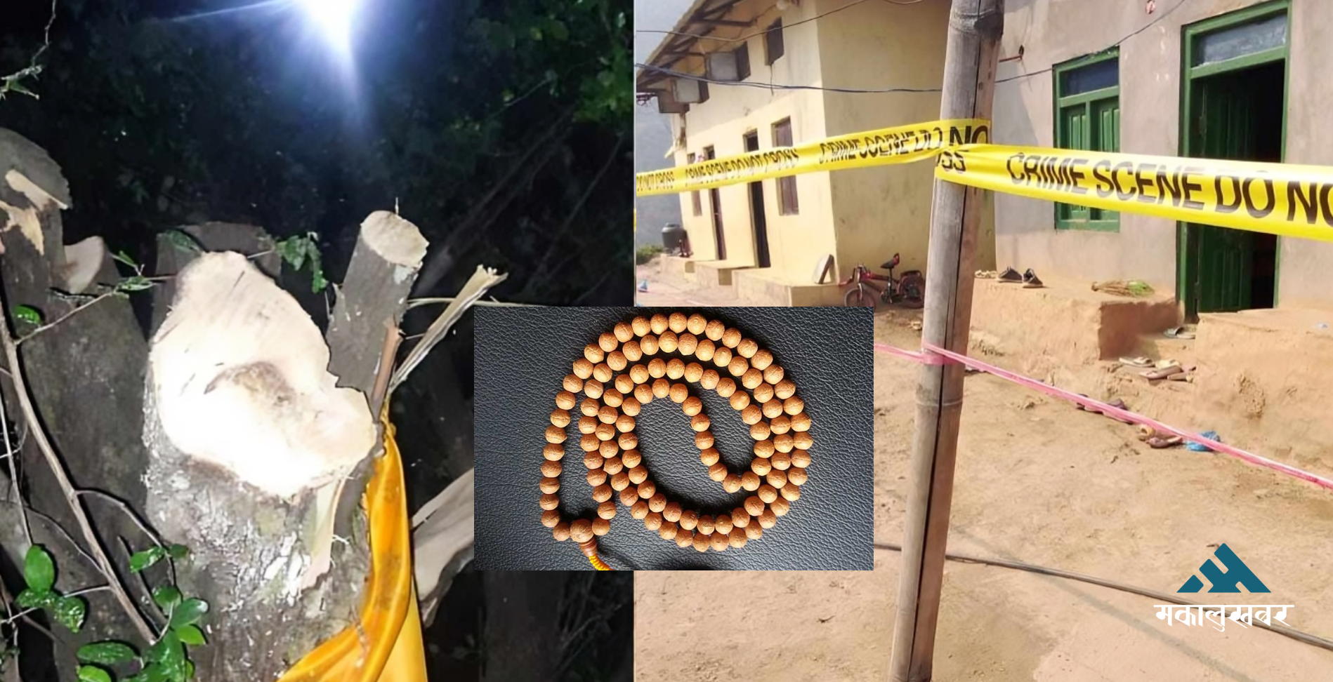 मध्यरातमा कसले काट्यो बुद्धचित्तको बोट ? घरको आँगनमा भेटिए ४ सकेट बम