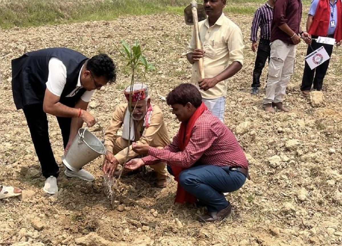 मुक्तिनाथ बैंकद्वारा इलाम र महोत्तरीमा वृक्षारोपण कार्यक्रम