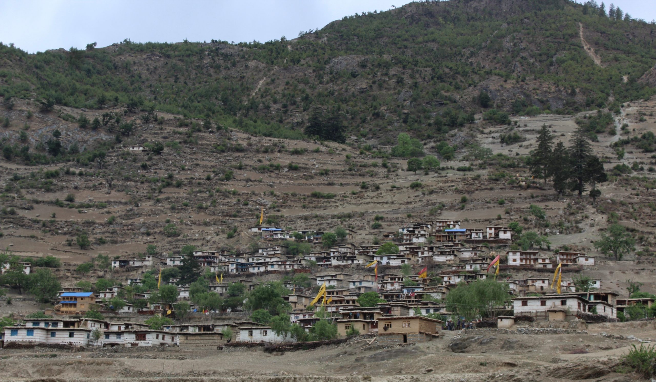 बन्दुक र तरबाखुकुरीसहितको समूहबाट गाउँ नै लुटियो