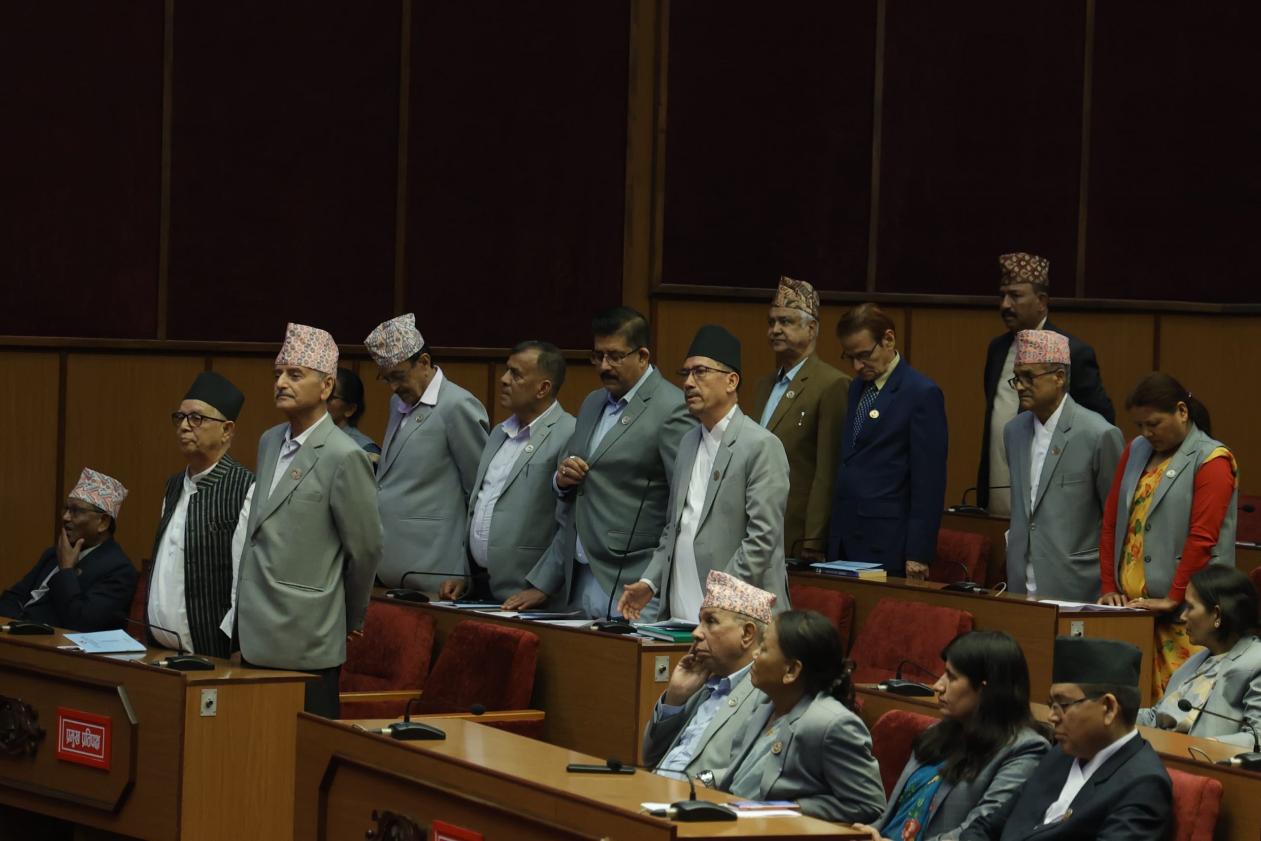 सांसदहरूको माग- हरेक निर्वाचन क्षेत्रका ४ वटा योजनामा बजेट विनियोजन गर्नुपर्ने नीति बनाउनुपर्छ