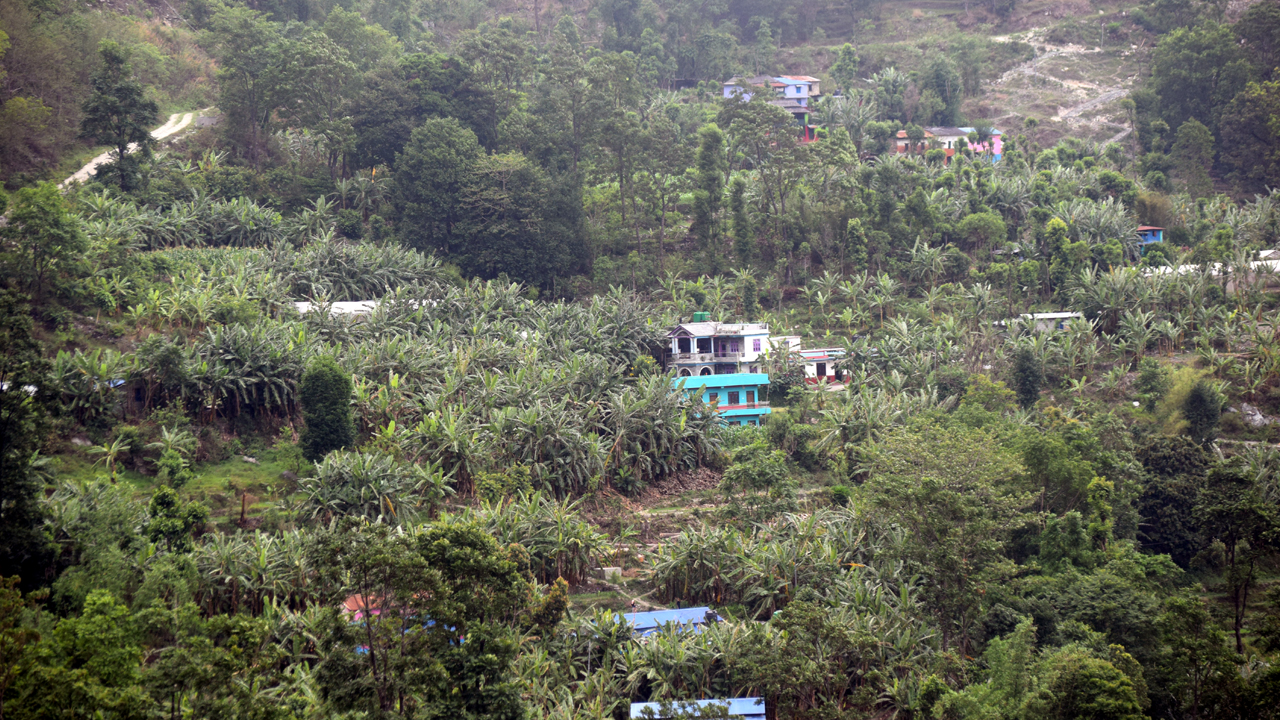 केरा बेचेरै खबरा गाउँमा तीन करोड भित्रियो, कोही छैनन् बेरोजगार