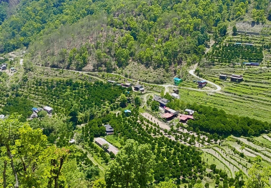फलफूल र आलु खेती तर्फ किसान आकर्षित