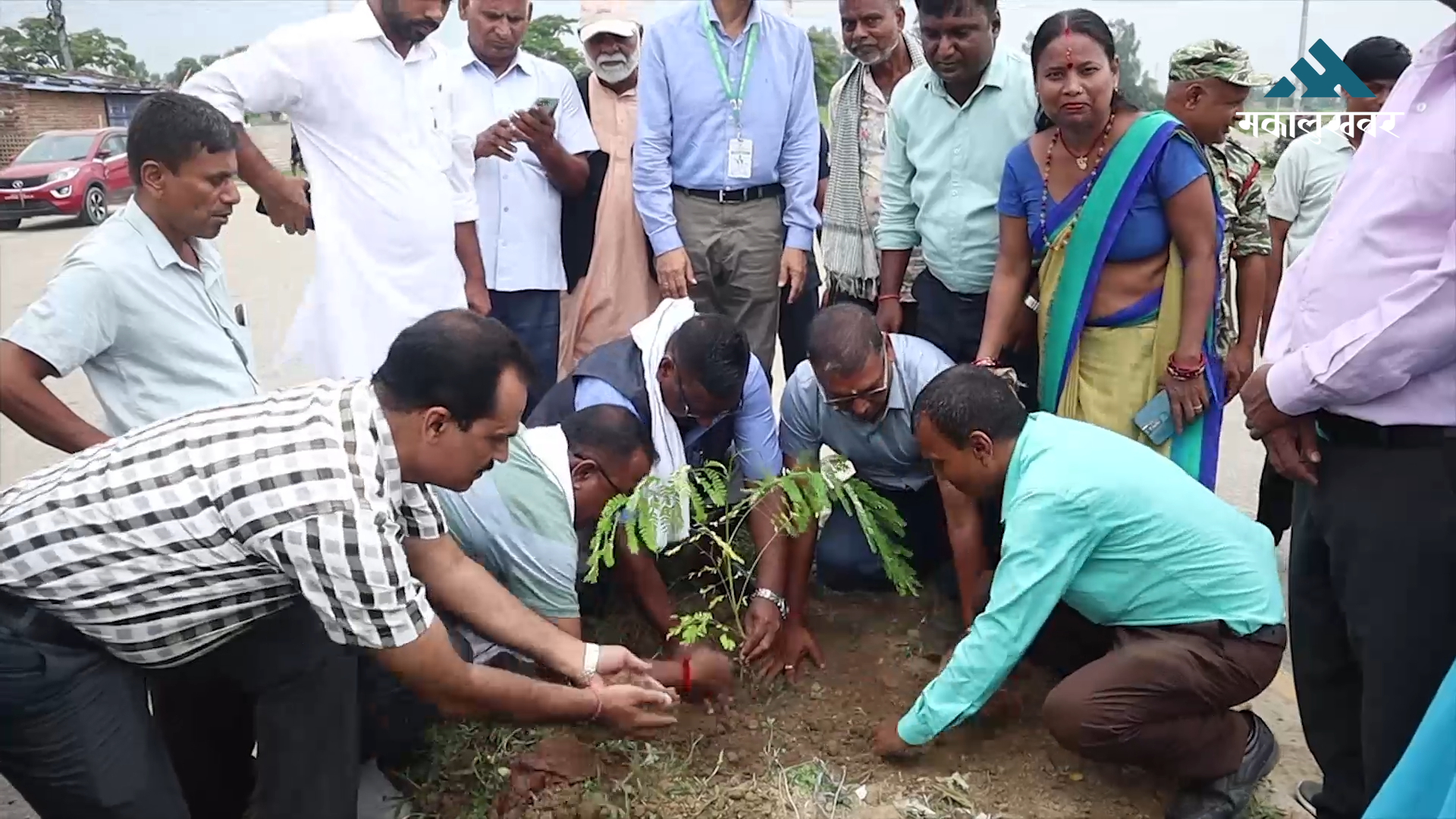 मधेसका ८ वटै जिल्लामा वृक्षारोपण, ६५ लाख बिरुवा रोप्ने लक्ष्य (भिडिओ)