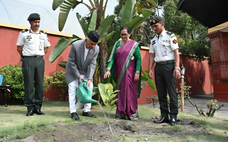 भण्डारखाल बगैँचामा रोपियो एक हजार ५०० बिरुवा