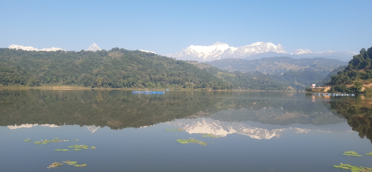 पाहुना चरालाई वार्षिक ५० लाखको माछा खुवाउने रुपाताल