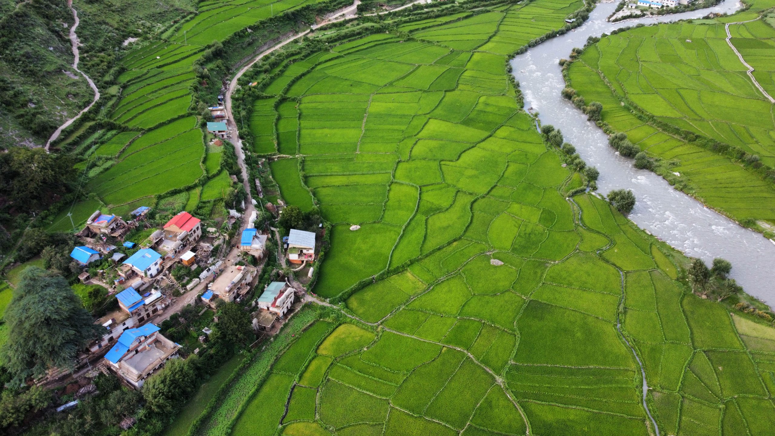 हिमा नदी र मार्सी धान खेती