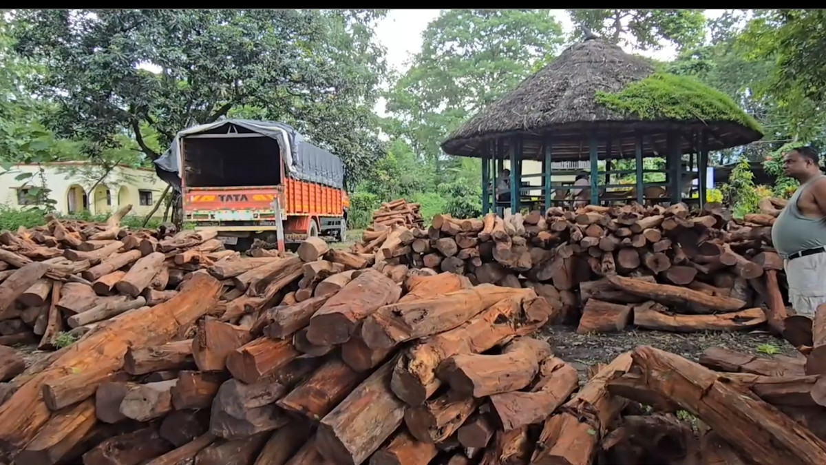 रामेछापबाट तस्करी गरिएको काठ सुनसरीमा समातियो