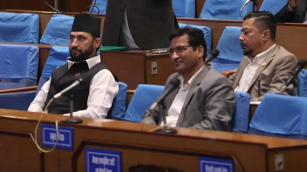सबै पार्टीका मान्छे ठगीमा, रविको बयान लिने