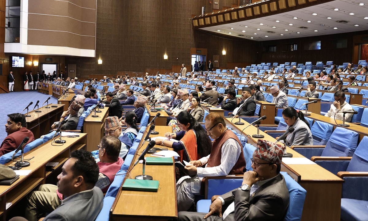 सरकारसँग सांसदहरूको आग्रह- हवाई र सडक दुर्घटना रोक्न विशेष ध्यान देओस्